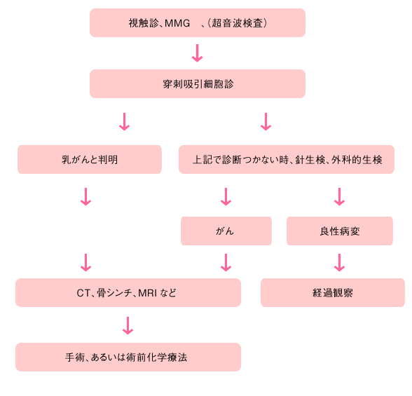 まず、視触診、MMG、超音波検査を行います。次に、穿刺吸引細胞診を行います。そこで乳がんと診断された場合は、CT、骨シンチ、MRIなどを行い、その後、手術あるいは術前化学療法を行います。穿刺吸引細胞診で診断がつかない時、針生検、外科的生検を行ってがんと判明した場合は、CT、骨シンチ、MRIなどを行い、その後、手術あるいは術前化学療法を行います。良性病変の場合は、経過観察を行います。