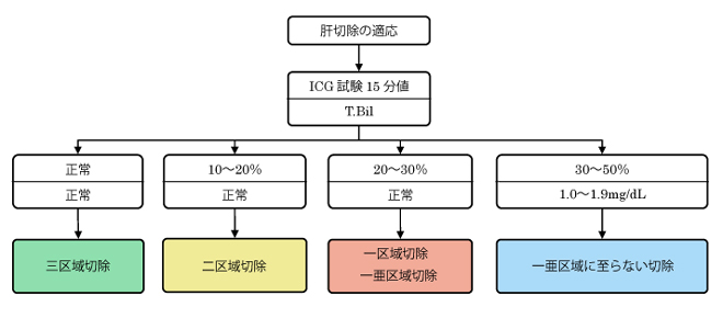 肝切除の適応のために、ICG試験15分値とT.Bilを調べます。ICG試験15分値とT.Bilのどちらも正常な場合は、三区域切除を行います。ICG試験15分値が10～20%でT.Bilが正常な場合は、二区域切除を行います。ICG試験15分値が20～30%でT.Bilが正常な場合は、一区域切除または一亜区域切除を行います。ICG試験15分値が30～50%でT.Bilが1.0～1.9mg/dLの場合は、一亜区域に至らない切除を行います。